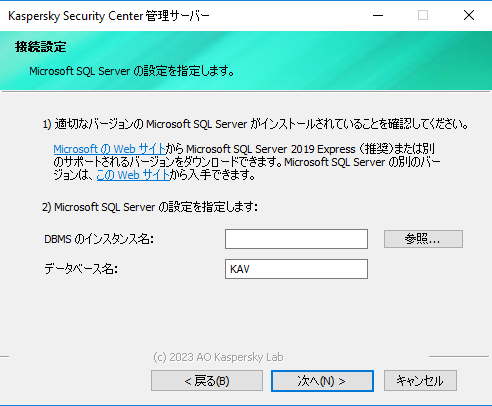［接続設定］ウィンドウでは、インスタンス名とデータベース名という SQL Server 設定が指定されます。